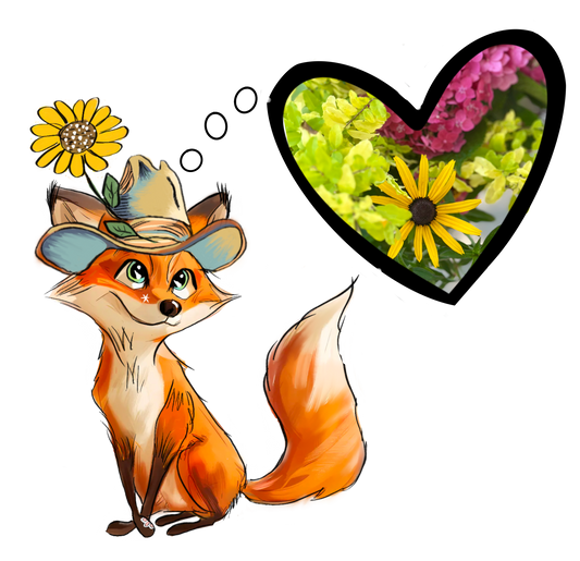Sunshine, Sprouts, and a Season of Possibility
