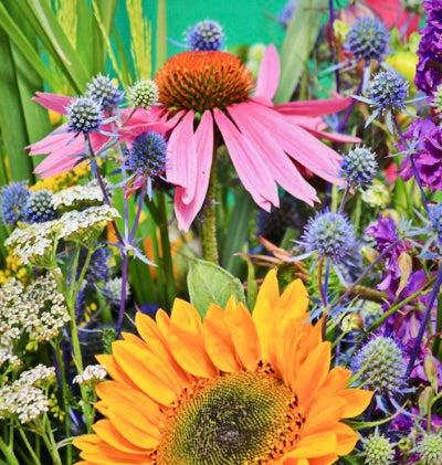 Creative Workshop - Gather & Bloom 8/22/2026